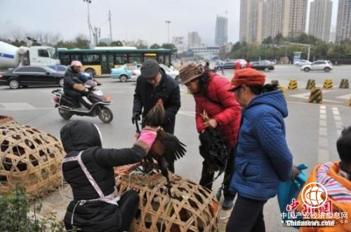 資料圖：街頭攤販。任東 攝