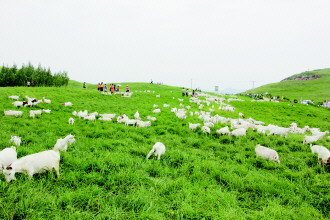 產(chǎn)業(yè)扶貧“造血” 泛珠扶貧協(xié)作補齊區(qū)域發(fā)展短板