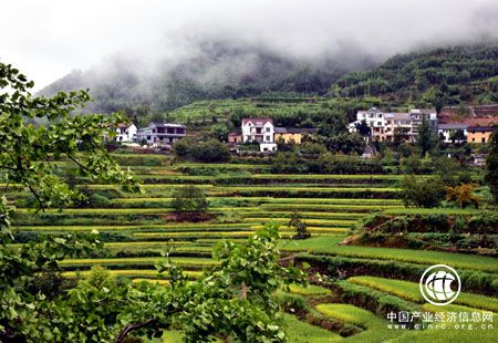 生態(tài)建設與耕地保護豈能顧此失彼？