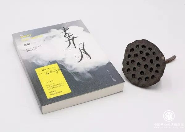 我失迷霧君失我——魯敏小說(shuō)：奔月 | 星期天文學(xué)