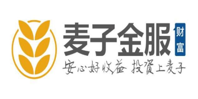 麥子金服：公司未開展“現(xiàn)金貸”業(yè)務(wù) 嚴(yán)守風(fēng)控審核關(guān)卡