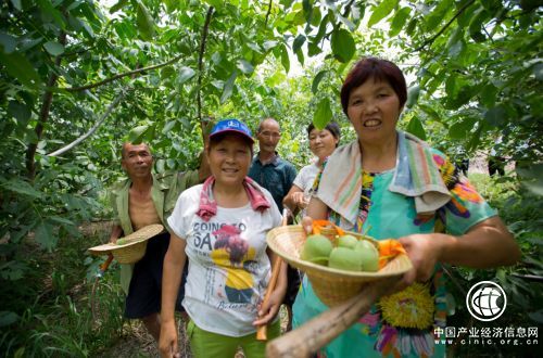 拼多多助農(nóng)年報：精準扶貧不唱獨角戲