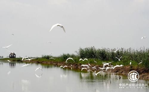 山西：28項優(yōu)先行動推進全省生物多樣性保護