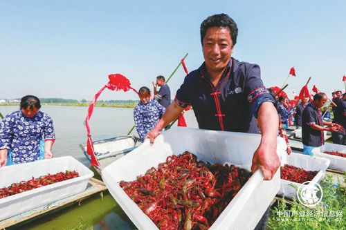 江蘇盱眙龍蝦產(chǎn)業(yè)扶貧出實(shí)招