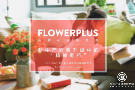 Flowerplus花加領(lǐng)跑口碑營(yíng)銷標(biāo)桿企業(yè) 單月銷售最高過(guò)億 