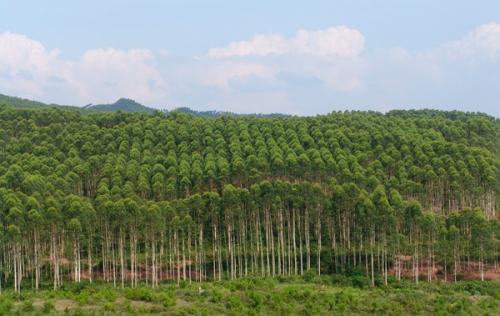 鄉(xiāng)村振興戰(zhàn)略為建立新型城鄉(xiāng)關(guān)系和農(nóng)業(yè)農(nóng)村健康發(fā)展指明了道路 