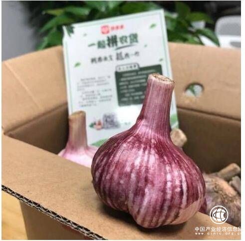 為何全國滯銷的大蒜，能在拼多多上一天賣出4.7萬單？