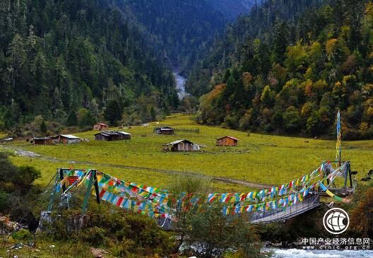 西藏林芝發(fā)展生態(tài)旅游助力精準脫貧