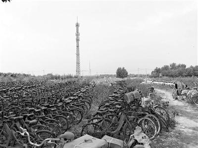  王慶坨  中國(guó)自行車第一鎮(zhèn)