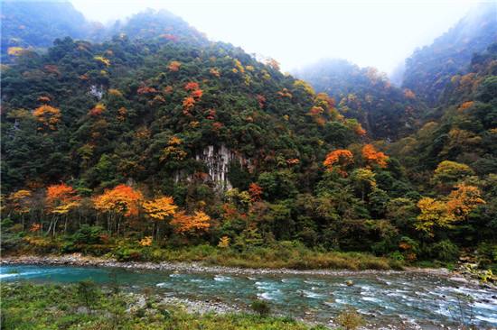 四川生態(tài)旅游直接收入超過千億元