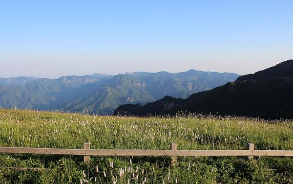 山西植被生態(tài)質(zhì)量改善速度全國(guó)居前