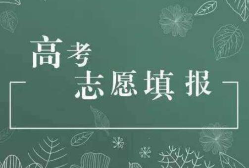 學(xué)校與區(qū)域、興趣與專業(yè)、專業(yè)與職業(yè)——高考志愿填報(bào)要重視匹配度