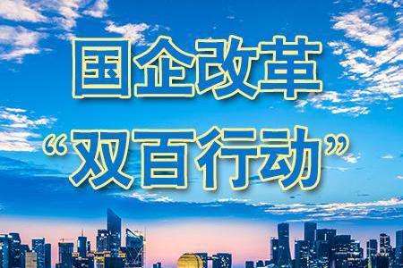 國資委：“雙百企業(yè)”改革要更大力度更快步伐