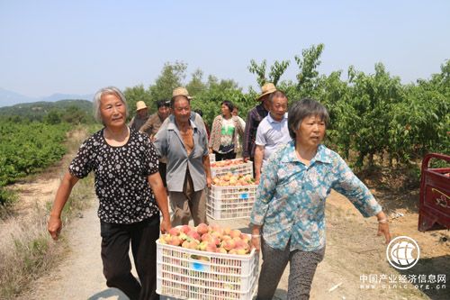 河南省南召縣有機農產品享譽全國