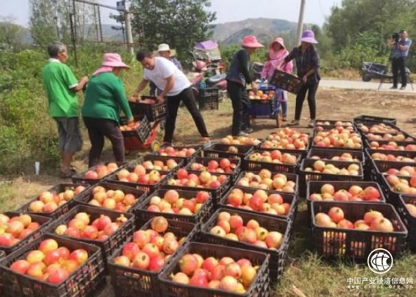 河南省方城縣楊集鎮(zhèn)楊運中：創(chuàng)業(yè)帶富鄉(xiāng)鄰