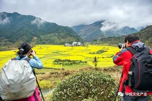 地方戰(zhàn)“疫” | 不少文旅企業(yè)或?qū)⑵飘a(chǎn)，安徽如何應(yīng)對？