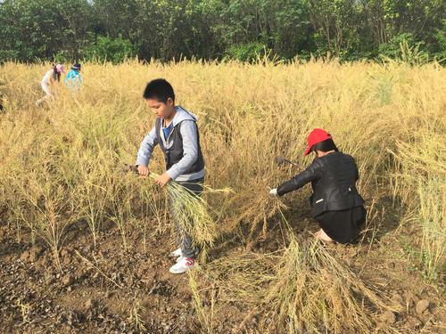 幼兒園階段適合引入勞動教育——關于3至6歲學齡前幼兒教育的探索