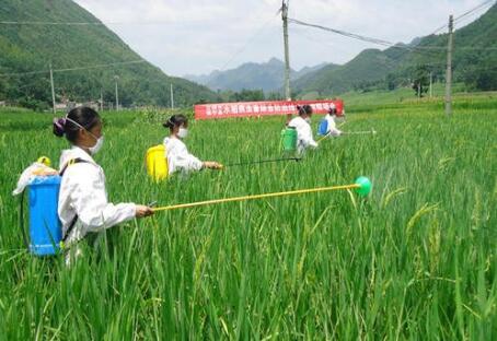 2023年度重大病蟲害防控技術(shù)方案會(huì)商審定會(huì)在京召開