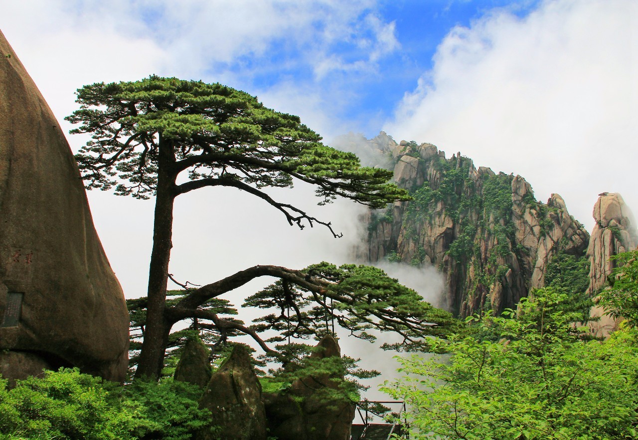 黃山擁擠不堪 排隊4小時難入園 景區(qū)復(fù)工需補(bǔ)哪些安全管理功課