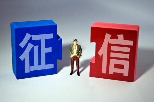 征信視角下替代數(shù)據(jù)的采集與應用