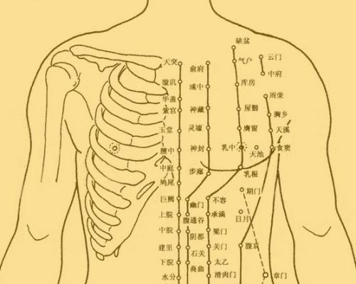 人體是否有“穴位”存在？