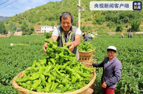 千方百計(jì)讓錢(qián)袋子鼓起來(lái)——云南持續(xù)推進(jìn)農(nóng)民增收調(diào)查