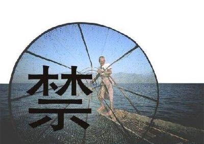 守護(hù)母親河重現(xiàn)生機(jī)——多部門回應(yīng)長江禁捕熱點問題