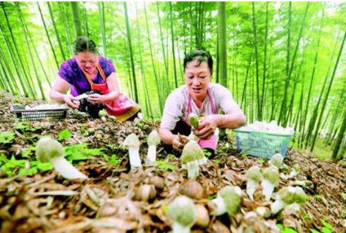 用好一方水土 做好“土特產(chǎn)”文章