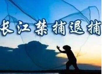 農(nóng)業(yè)農(nóng)村部：長(zhǎng)江流域重點(diǎn)水域禁捕退捕取得重要階段性成效