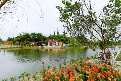 火花村：文旅搞上去，會有“火樹銀花”