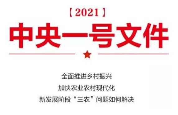 中央農(nóng)辦、農(nóng)業(yè)農(nóng)村部有關負責人談中央一號文件熱點話題