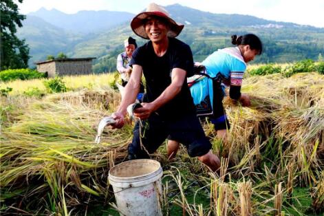 實現(xiàn)大規(guī)模減貧經驗值得借鑒！中國對世界減貧的貢獻率超70%