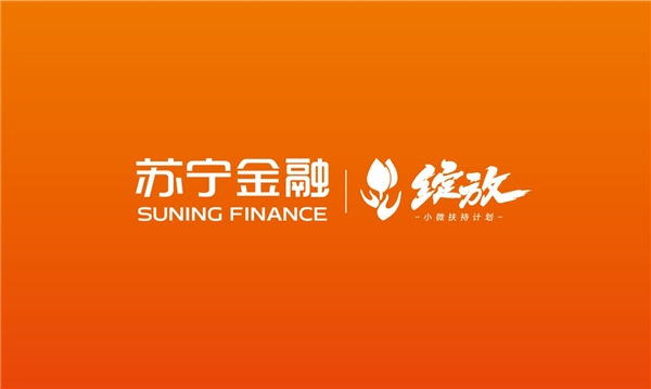 政府工作報告頻提小微企業(yè) 蘇寧金融創(chuàng)新科技幫扶小微