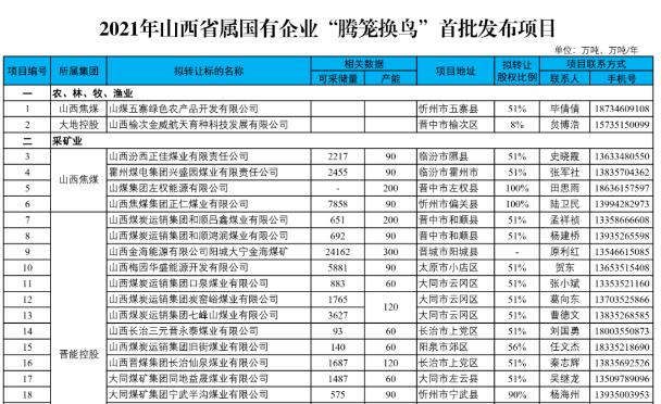 2021年山西省屬國企首批“騰籠換鳥”項目名單公布