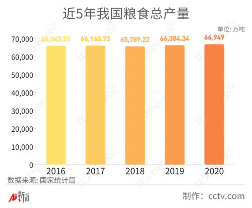 國際糧價大漲，中國人的“飯碗”會受影響嗎？