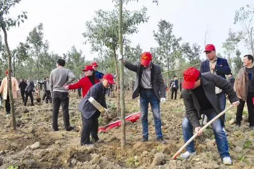 不斷凝聚起國土綠化的全民力量——全民義務(wù)植樹運動40周年綜述