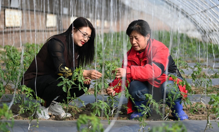 首季貸款創(chuàng)新高后，我國貨幣政策怎么走？