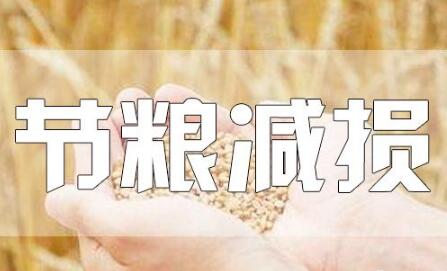 糧食豐收后，如何再增產(chǎn)？節(jié)糧減損可再造“無形良田”