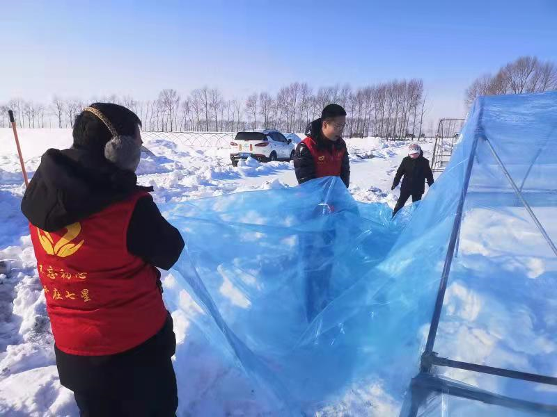 黑龍江北大荒股份七星分公司青年志愿者清雪扣棚助備耕