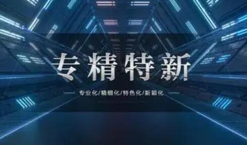 破解四大難題 推進(jìn)專精特新企業(yè)健康發(fā)展