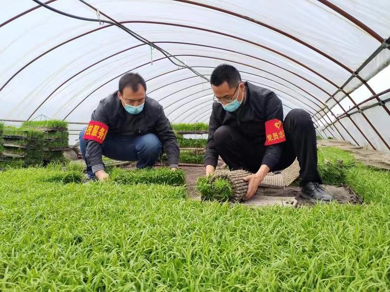 黑龍江北大荒農(nóng)業(yè)股份七星分公司黨員干部以實(shí)干擔(dān)當(dāng)擎畫春耕助農(nóng)最美“同心圓”