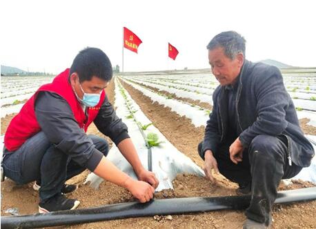 山東臨沂市煙草專賣局：節(jié)水灌溉讓煙田喝上“自來(lái)水”