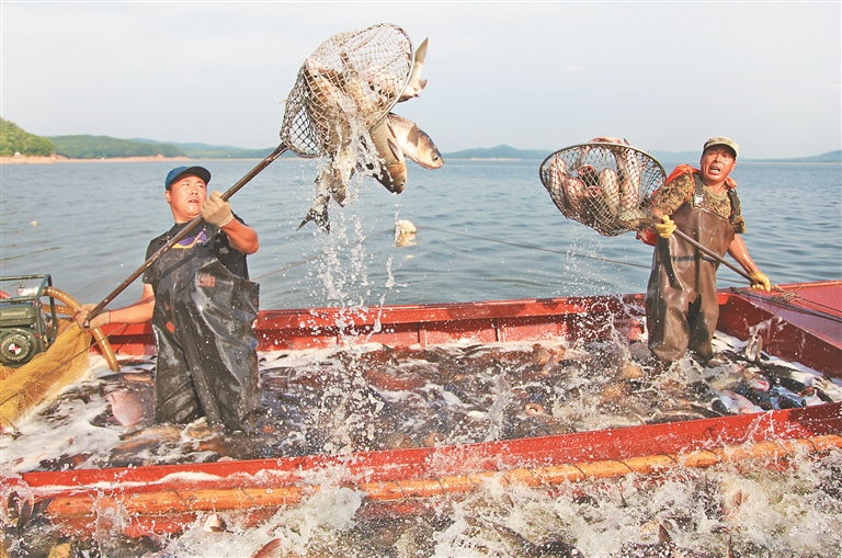 哈爾濱上半年漁業(yè)產(chǎn)值5.1億元 同比增長4.8%