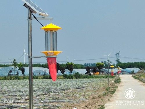 河南建安：煙葉變金黃，“綠色”來(lái)幫忙