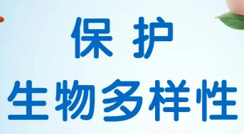 最高法發(fā)布《中國(guó)生物多樣性司法保護(hù)》報(bào)告  用最嚴(yán)密法治保護(hù)生物多樣性