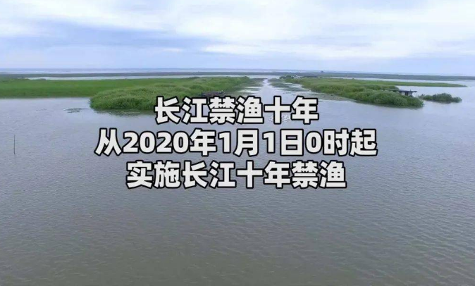 長江十年禁漁全面啟動以來取得扎實成效