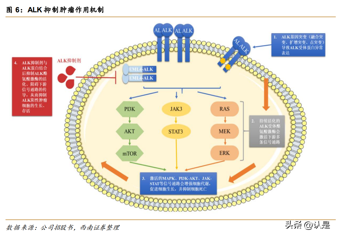 研究報告：這些新藥有望成為國內(nèi)“首款”