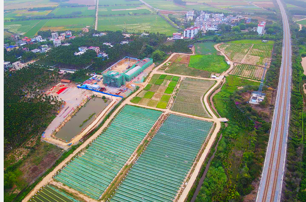 全球最大的野生稻種質(zhì)資源圃主體建成