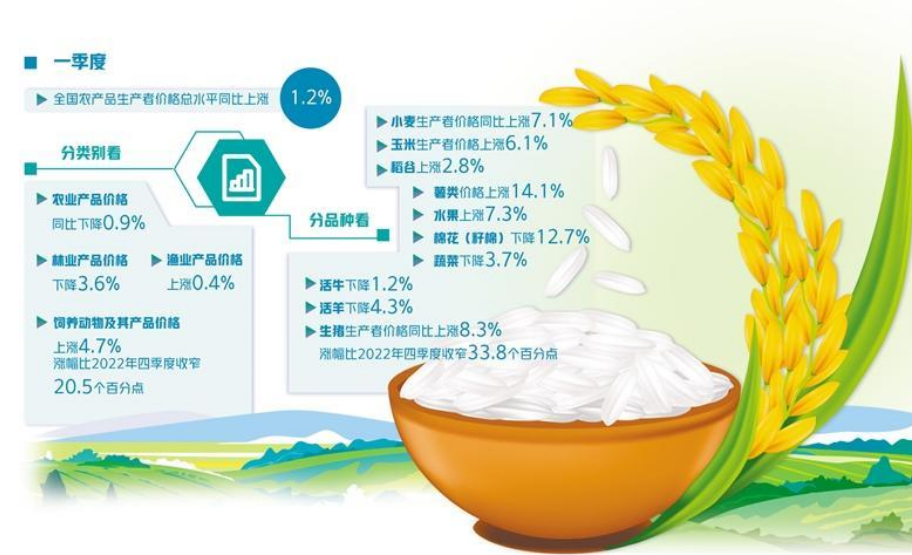 全球大米將現(xiàn)20年來最大缺口 對國內(nèi)市場影響幾何？