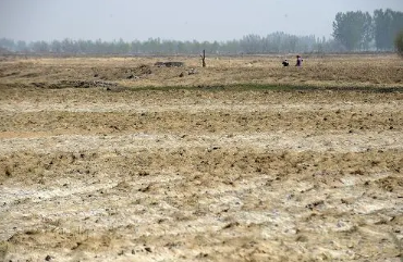 綜合施策治理耕地鹽堿化 8省份試點項目3年實施面積240萬畝次